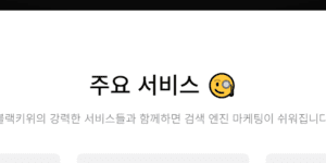 블랙키위 키워드 네이버 검색량 조회 분석 보는 법