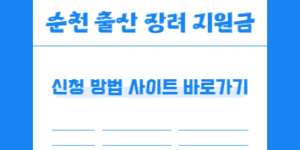 순천 출산 장려금 지원금 신청 방법