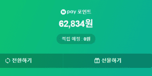 카드사 포인트 네이버페이 포인트 전환 방법