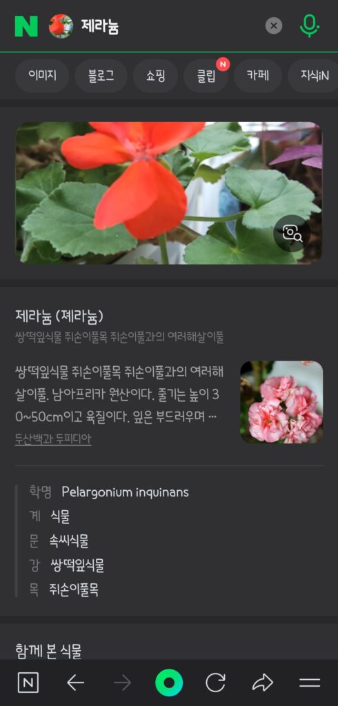 사진으로 식물 이름 찾기 꽃 무료 검색하는 방법