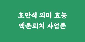 호안석 의미 효능 팔찌 묵주 반지 액막이 선물 추천 이유