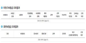 내 명의 가입 모든 보험 확인 조회하기, 한 방에 찾자!