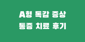 성인 A형 독감 증상 통증 검사 비용 치료 후기