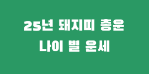 25년 돼지띠 95년 83년 71년 59년 을사년 운세