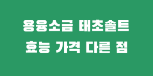 태초솔트 용융소금 효능 성분 특징 일반 차이점