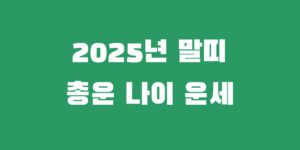 25년 말띠 운세 90년 78년 66년 54년 을사년 총운
