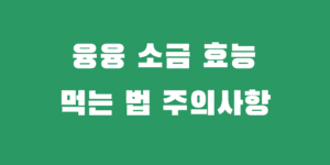 융융소금 효능 먹는 법 가격 추천 섭취 주의사항