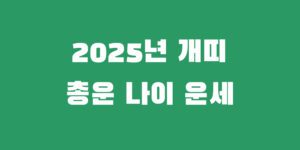 2025년 개띠운세 94년 82년 70년 58년 총운