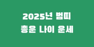 25년 범띠 운세 98년 86년 74년 62년 을사년 총운 설명