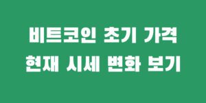비트코인 시작가 첫 가격 변동 현재 시세 변화 살펴보기