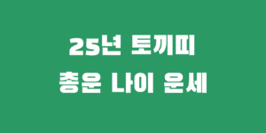 25년 토끼띠 운세 99년 87년 75년 63년생 을사년 총운