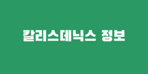 칼리스데닉스 장단점 루틴 어플 입문자 장비 추천