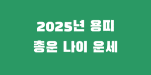 25년 용띠 운세 00년 88년 76년 64년 52년생 한 해 총운