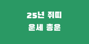 25년 쥐띠운세 96년 84년 72년 60년 을사년 총운
