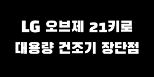 LG트롬 오브제 건조기 21kg 대용량 RD21ESE 장점 단점