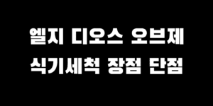 엘지 디오스 식기세척 건조기 오브제 DTC2NE 장점 단점
