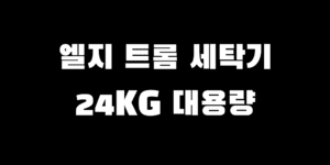 엘지 트롬 세탁기 24KG F24VDLP LG 드럼 추천 이유