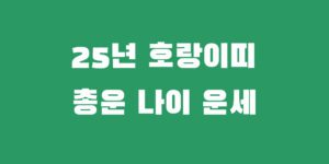 25년 호랑이띠 총운 74년 86년 98년 을사년 나이별 운세