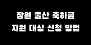 2025년 창원 출산축하금 지원 대상 조건 신청 절차 방법