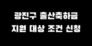 광진구 출산축하금 2025년 지원금 대상 조건 신청 방법