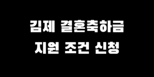 김제 결혼축하금 지원 자격 조건 지급액 신청 방법