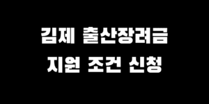 김제 출산 장려금 지원 대상 조건 지급액 신청 방법