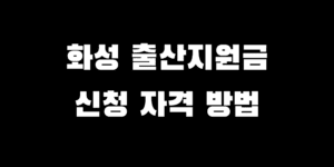 경기도 화성 출산지원금 신청 임신 다자녀 현금 지원 추천