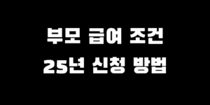 부모 급여 조건 대상 신청 방법 2025년 신생아 혜택 추천