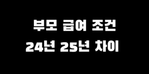 24 25년 부모 급여 차이 지급액 조건 대상 차이 비교