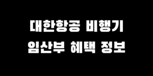 대한항공 비행기 임산부 혜택 여행 출장 탑승 전 필수 정보