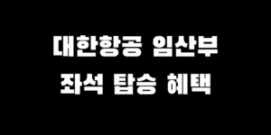 대한항공 임산부 좌석 지정 우선 탑승 혜택 신청 방법