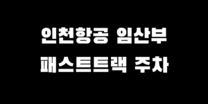 인천공항 임산부 패스트트랙 주차 요금 지원 혜택 이용 방법