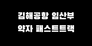 김해공항 패스트 트랙 임산부 교통약자 혜택 이용 방법