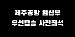 제주항공 임산부 우선탑승 사전좌석 지정 이용 방법 신청