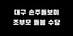 대구 조부모 돌봄수당 손주 돌보미 지원 조건 혜택 신청 방법
