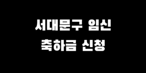서울시 서대문구 임신 출산 축하금 자격 신청 혜택받는 법