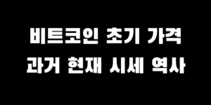 비트코인 초기 최초 가격 처음 시작부터 25년 시세 변화 역사까지