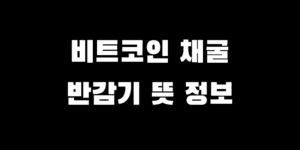 비트코인 용어 설명 반감기 채굴 뜻 궁금증 정리