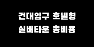 건대입구 호텔형 실버타운 입주 비용 월세 가격 장점 단점