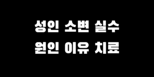 성인 수면 중 소변 실수 자다가 지림 원인 예방 치료 방법