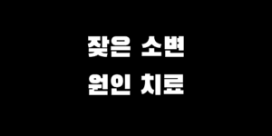 오줌이 자주 마려워요 잦은 소변 원인 치료 방법