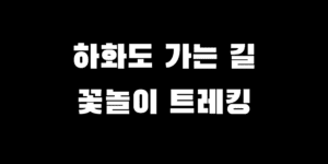 하화도 가는 법 배시간 트레킹 꽃놀이 코스 추천