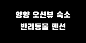 양양 오션뷰 펜션 추천 애견 애묘 동반 가능 숙소 BEST 5