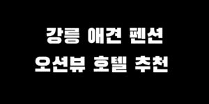 강릉 오션뷰 펜션 호텔 추천 애견 동반 가능한 곳 BEST 5