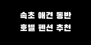 속초 오션뷰 반려견 동반 가능 펜션 호텔 BEST 5 추천