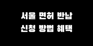 서울 운전면허 자진 반납 방법 혜택 나이 몇 살부터 가능할까?
