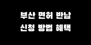 부산 운전면허 자진 반납 방법 혜택 몇 살부터 신청 가능할까?