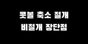 콧볼 축소 절개식 vs 비절개식 수술 장점 단점 비교 선택 가이드