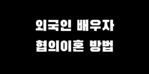 외국인 배우자와 협의 이혼 진행 시 필요한 서류와 절차
