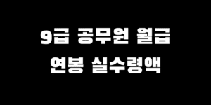 9급 공무원 전 직렬 초봉 월급 연봉 실수령액 급여 인상될까?
